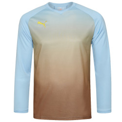 PUMA Speed Men Long-sleeved Goalkeeper Jersey with pads 701272-28
