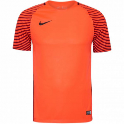Nike Gardien II Men Goalkeeper Jersey 894512-719