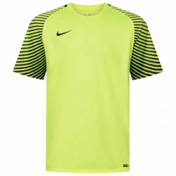 Nike Gardien Men Goalkeeper Jersey 725889-702
