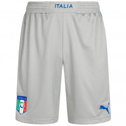 PUMA Italy  Men Shorts 740307-06