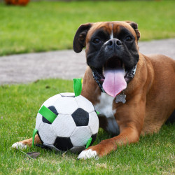 Gioco Gioco Dog play ball 17cm GPB0002